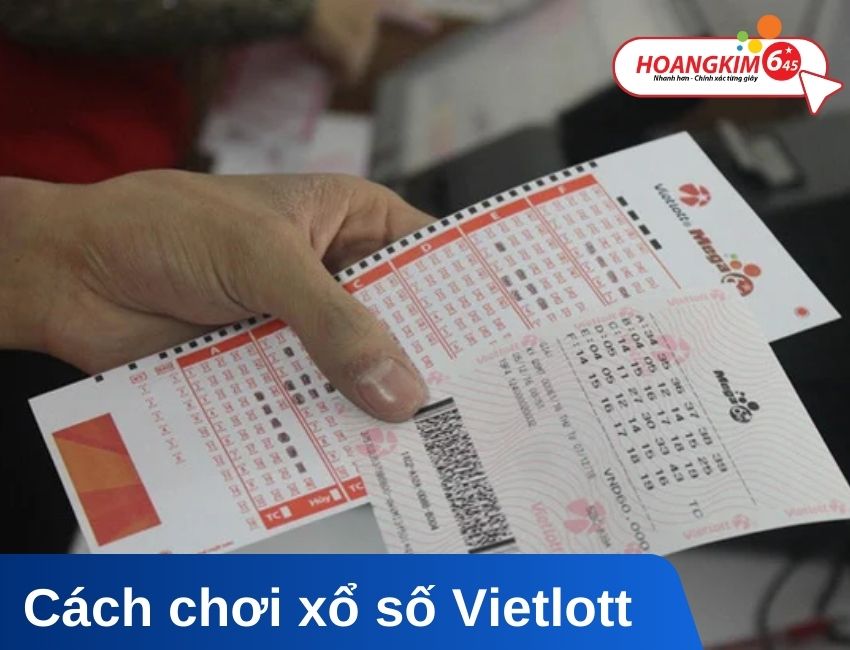 Hướng dẫn A-Z cách chơi xổ số Vietlott cho người mới